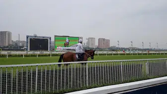 Smart Latch Yarış Atının Sahibi Kimdir? Suat Topçu Hakkında Bilgiler