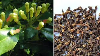 Suyunuzun içine atın! Karanfil ve suyun mucize gücü: Sonuca inanamayacaksınız!