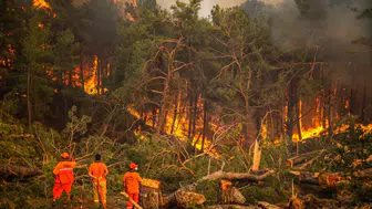 2025 yılında Türkiye'de orman yangınlarının nedenleri nelerdir?