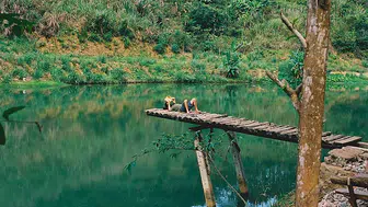 Kimsenin ziyaret etmediği ülke: Haritada yerini bilen yok