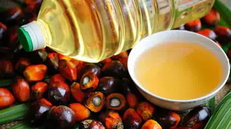 Palm yağı ve soya yağı arasındaki fiyat farkı neden bu kadar açıldı?