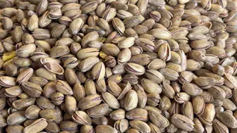 2026 Yılının İlk Çeyreğinde Türkiye'nin Fıstık İhracatı Ne Kadar Oldu?