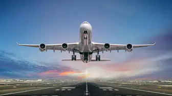 Uçak Motorunda Binlerce Arı Bulundu: Kalkış Neden Gecikti?