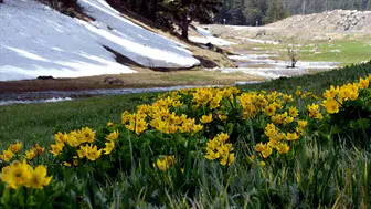 Hakkari'de Bahar ve Kış Arasında Dikkat Çeken Sıcaklık Farkı Neden Yaşanıyor?