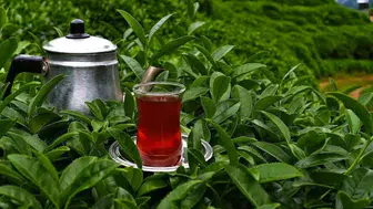 Paket çay fiyatlarında büyük artışlar yaşanıyor: Tüketici ne yapmalı?