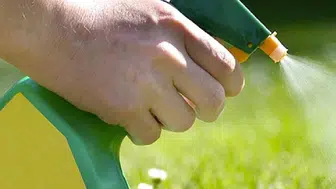 Bahçelerde yabani otları kimyasal kullanım olmadan yok etmenin yolları neler?