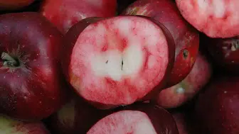 Dünya'da Sadece Türkiye'de Yetişiyor : Ülkemize Tescilli Bu Elmanın Eşi Benzeri Yok