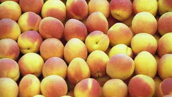 Dünyanın En İyi Kayısıları Listesinde Türkiye'nin Yeri Nedir?