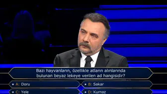 Bazı hayvanların, özellikle atların alınlarında bulunan beyaz lekeye verilen ad hangisidir?