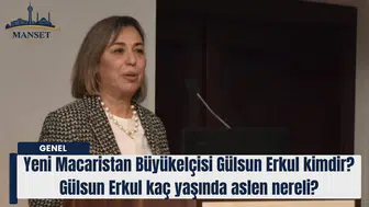 Yeni Macaristan Büyükelçisi Gülsun Erkul kimdir ve hangi görevlerde bulundu?