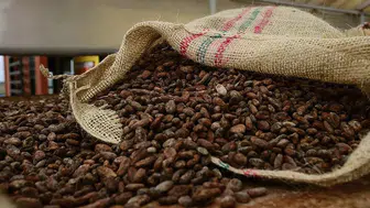 Küresel Emtia Piyasasında Kahve Fiyatları Neden Dalgalanıyor?