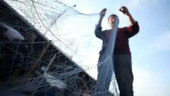 2026 Yılı Balık Av Yasağı Ne Zaman Başlayacak ve Ne Zaman Bitecek?