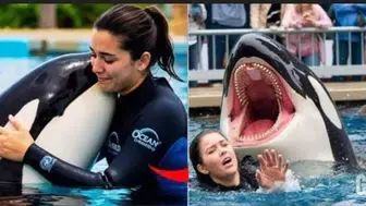 Jessica Radcliffe kimdir, kaç yaşında, nereli ve balina tarafından öldürüldü mü? Video gerçek mi?