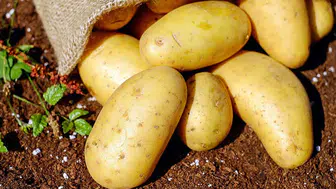 Patates fiyatları yüzde 700 fırladı