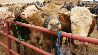 Kurban Bayramı tatili 9 gün mü oldu? Bayram tatili hangi gün başlıyor ve bitiyor?