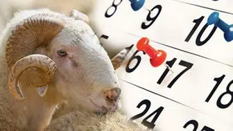 9 günlük Kurban Bayramı tatili ne zaman, ayın kaçında başlıyor?
