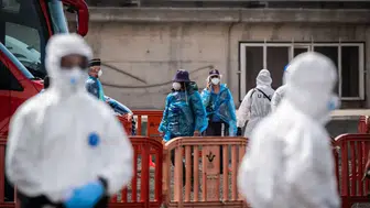 Bordeaux limanında norovirüs paniği: 1700'den fazla kişi karantinaya alındı