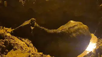 Kayıhan Beldesi'nde inek belediyenin kazdığı çukura düştü