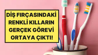 Diş hekimleri açıkladı : Diş fırçası kıllarının renkleri aslında ne anlama geliyor?