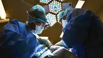 Tıp dünyasında bir ilk: Aynı anda üç domuz organı nakli mümkün