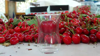 Çanakkale'de çay bardağından geçmeyen kirazların hasadı başladı