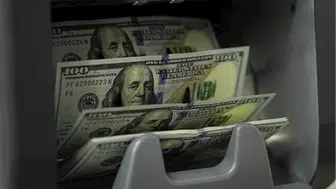 Döviz kurları: Dolar ve Euro ne kadar oldu?