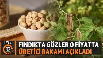 Fındıkta yeni alım fiyatı beklentisi yükseldi : Üreticiden net rakam