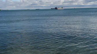 Marmara Denizi'nde su sıcaklığı rekor seviyeye ulaştı