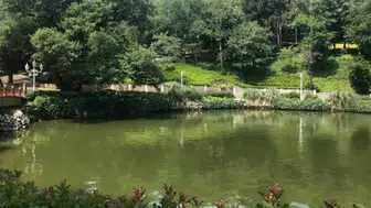 İstanbullular yeşil alan projelerine neden daha fazla oy verdi?