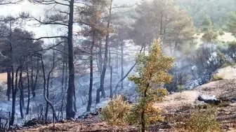 Marmaris iki gündür yanıyor! Orman yangınına havadan müdahale devam ediyor