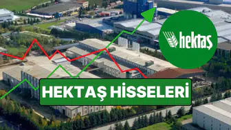 Hektaş hisseleri 2026 yılı bilançosunu açıkladı : Hedef fiyat ne olacak?