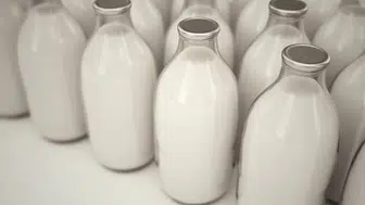 Manda yetiştiriciliği ve manda sütü fiyatları neden dikkat çekiyor?