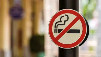 Sigara tüketimi beyin sağlığını nasıl olumsuz etkiliyor?