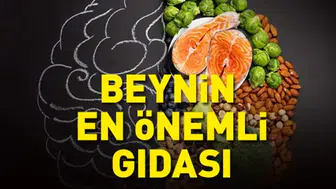 Alzheimerla savaşan besinler : Zihni güçlendiren yiyecekler nelerdir?