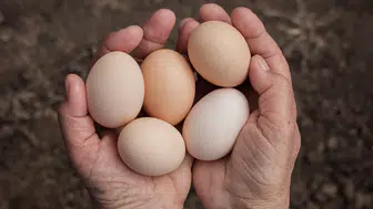 Yumurta kolesterolü yükseltir mi? Bilimsel araştırmalar ne diyor?
