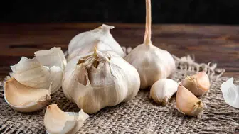 Bir diş sarımsak gömerek bitkilerinizi nasıl koruyabilirsiniz?