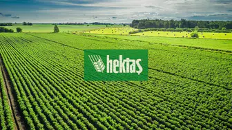 Hektaş (HEKTS) hisseleri için hedef fiyat ne olacak ve teknik analiz nasıldır?