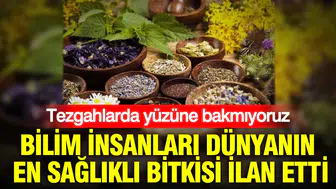 Bilim insanları dünyanın en sağlıklı bitkisi ilan etti : Tezgahlarda yüzüne bakmıyoruz