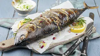 Palamut ne zaman yenir ve en lezzetli dönemi hangi aylardır?