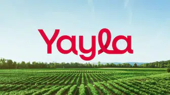 Yayla Agro hisselerinde hedef fiyat düştü!
