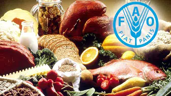 FAO'dan önemli uyarılar : Gıda fiyatları yıl sonunda yükselir mi?