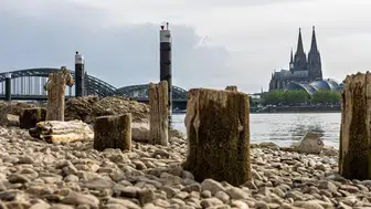 Ren Nehri'nin su seviyesinde korkutucu düşüş