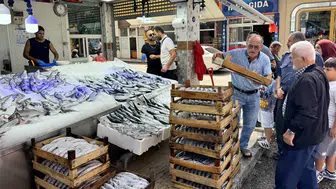 Karadeniz'de palamut bolluğu yaşanıyor: Tezgahlardaki fiyatlar neler?