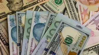 Döviz kurları ne durumda : Dolar 50 lira eşiğine yaklaşıyor mu ?