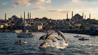 İstanbul Boğazı'nda görülen yunuslar ilgi çekti ?