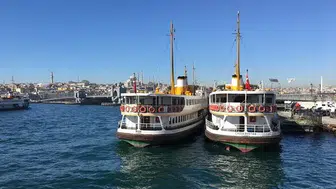 İstanbul şehir hatları vapurlarında evcil hayvan taşıma kuralları