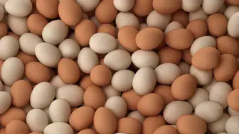 Yumurta alırken dikkat edilmesi gerekenler nelerdir?