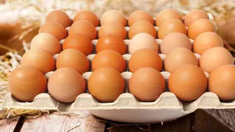 Salmonella nedir ? Belirtileri nelerdir ? Hangi yiyeceklerde bulunur ?