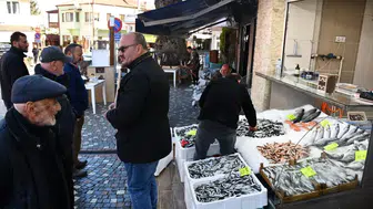Düzce Akçakoca'da balık fiyatları neden ucuzladı?