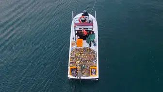 Karadeniz’de ağlar dolup taştı : Fiyatı duyan tezgaha koştu
